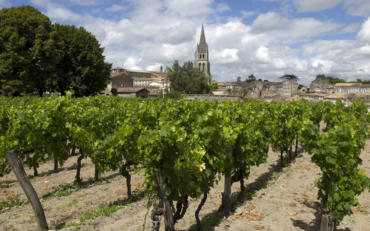 Primeur à Saint-Émilion